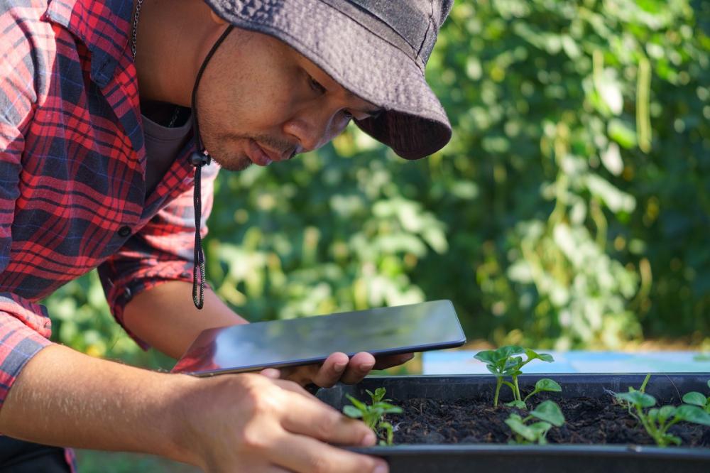 Las oportunidades de innovar a través del uso de tecnologías digitales en el comercio de productos agropecuarios y de alimentos incluyen herramientas tales como la internet de las cosas (IoT), el manejo masivo de datos (big data), la cadena de bloques (blockchain), las aplicaciones móviles, la inteligencia artificial y el uso de drones, entre otros, cuya incorporación aceleró la pandemia.