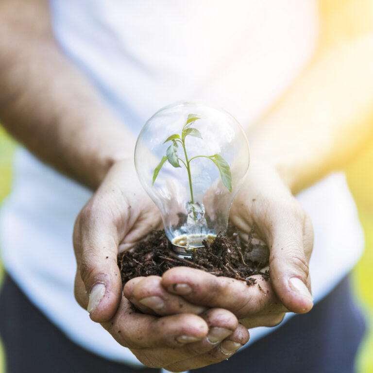 faceless-man-keeping-bulb-with-plant