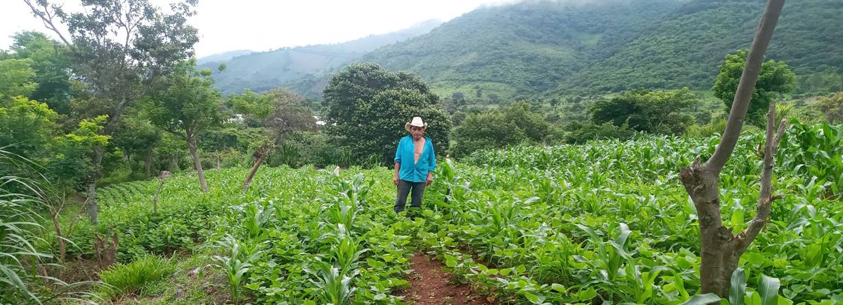 La iniciativa permitió a los productores del Trifinio el desarrollo y la aplicación de guías técnicas y de buenas prácticas agropecuarias, con el fin de orientar la implementación de modelos de diversificación agrícola para autoconsumo en parcelas y patios.