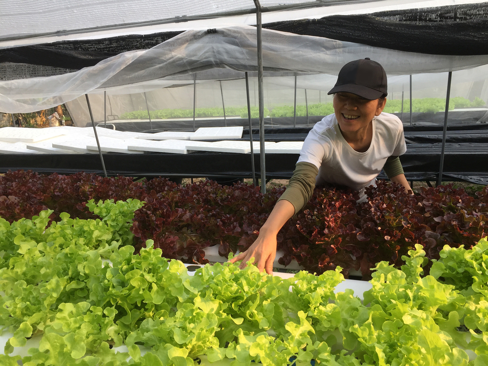 Las dos instituciones seguirán desarrollando tareas de cooperación técnica, tendientes a favorecer el desarrollo y la regulación de la agricultura orgánica en los distintos países.