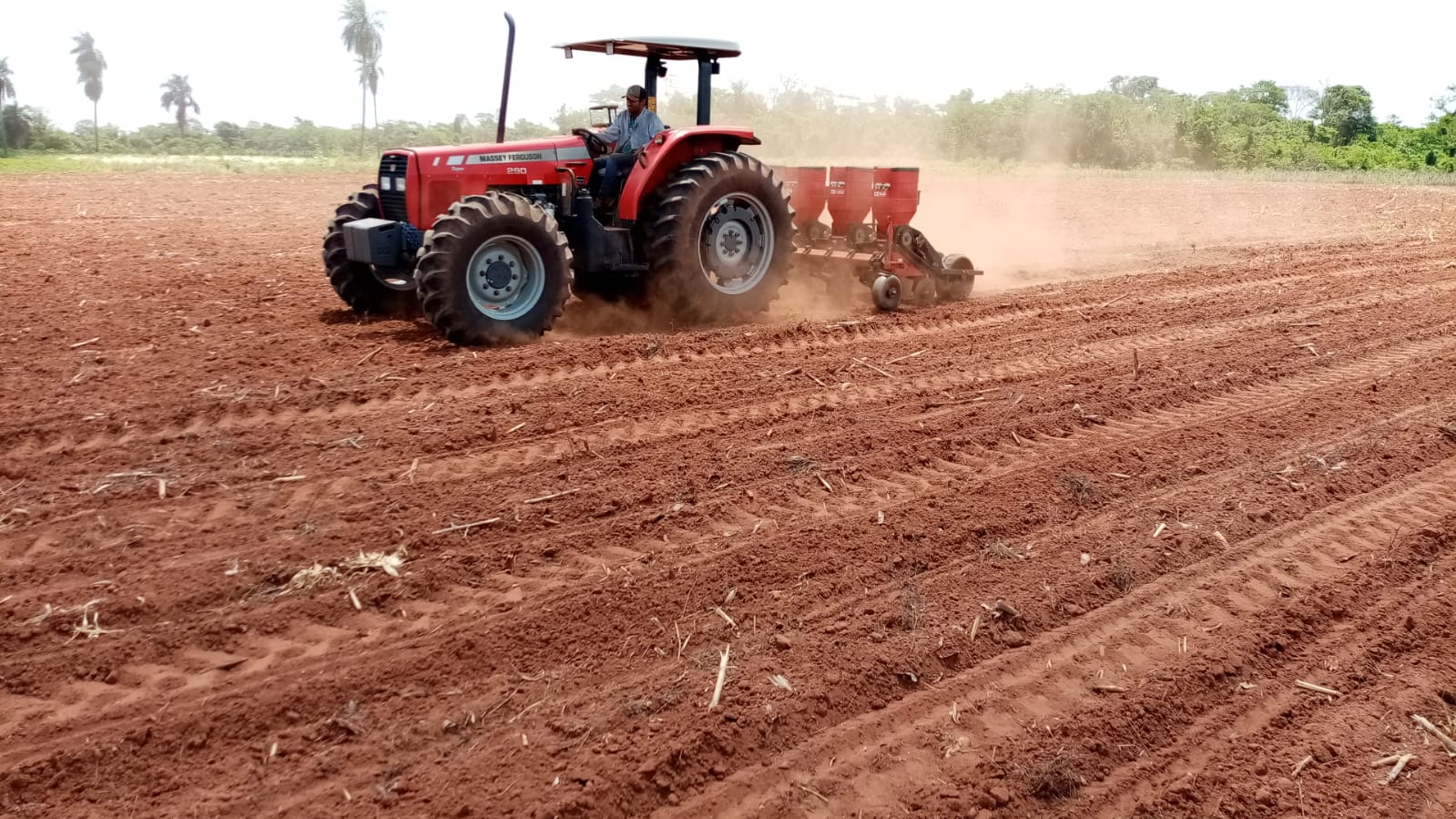 Como parte del proyecto agricultores familiares miembros de organizaciones más fortalecidas recibirán insumos y kit de maquinaria e implementos para que a través de su autogestión realicen la preparación de suelo con los insumos entregados por el proyecto.