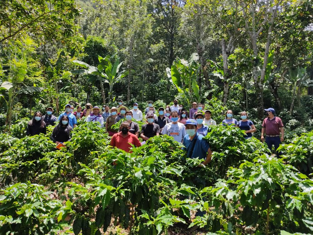 Casi 6.400 productores atendidos reportan nuevas fuentes de ingresos