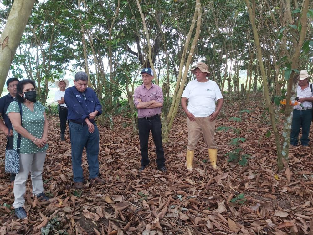 Representantes de distintas organizaciones asisten a día de campo donde se hace presentación de sistema agroforestal