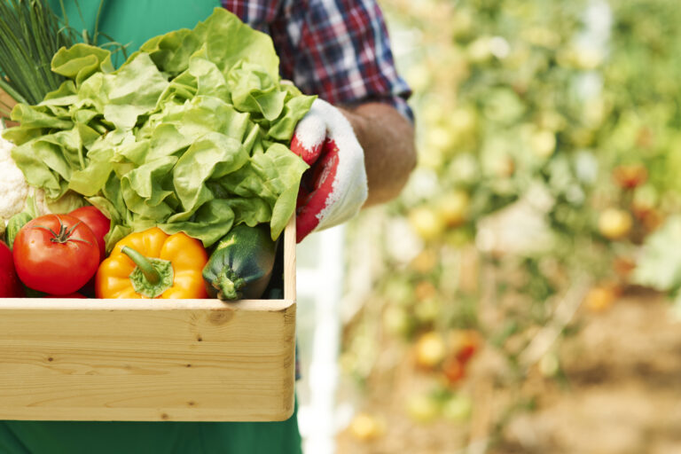 close-up-of-box-with-ripe-vegetables