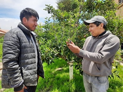 Agridigitalizacion