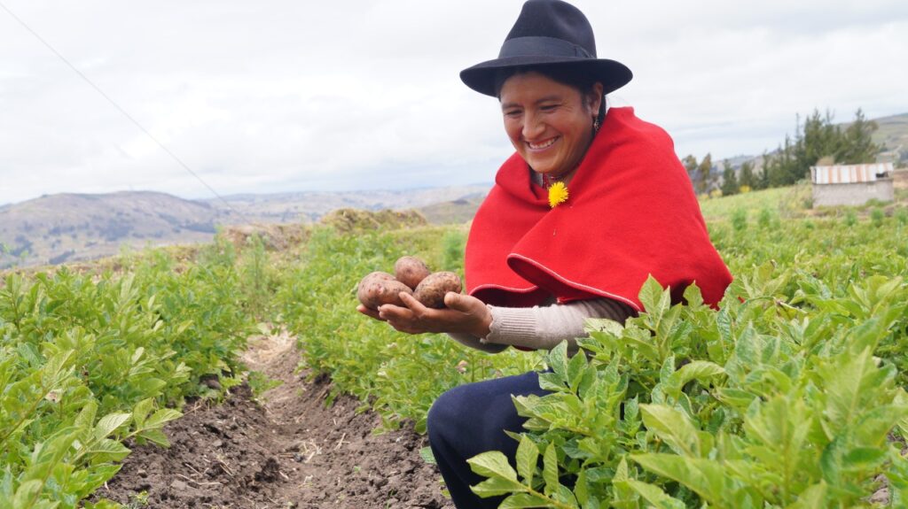 Voces andinas. Experiencias del proyecto Papa, Familia y Clima. Parte II