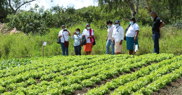 Red Comal e IICA, impulsaron la agroecología como medida de adaptación al cambio climático. 