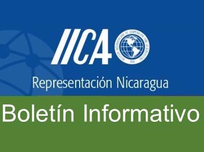 Boletín Informativo2