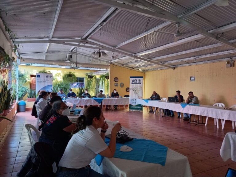 2do. Taller Técnico Regional con representantes de Centroamérica