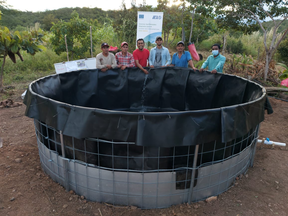 Asistencia técnica directa a 1601 productores en la implementación de tecnologías y buenas prácticas agropecuarias y forestales para la diversificación de cultivo, son parte de las acciones realizadas por el Proyecto AGRO-INNNOVA en el Corredor Seco Centroamericano.