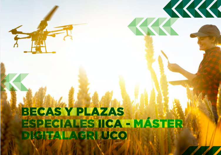 becas IICA-UCO