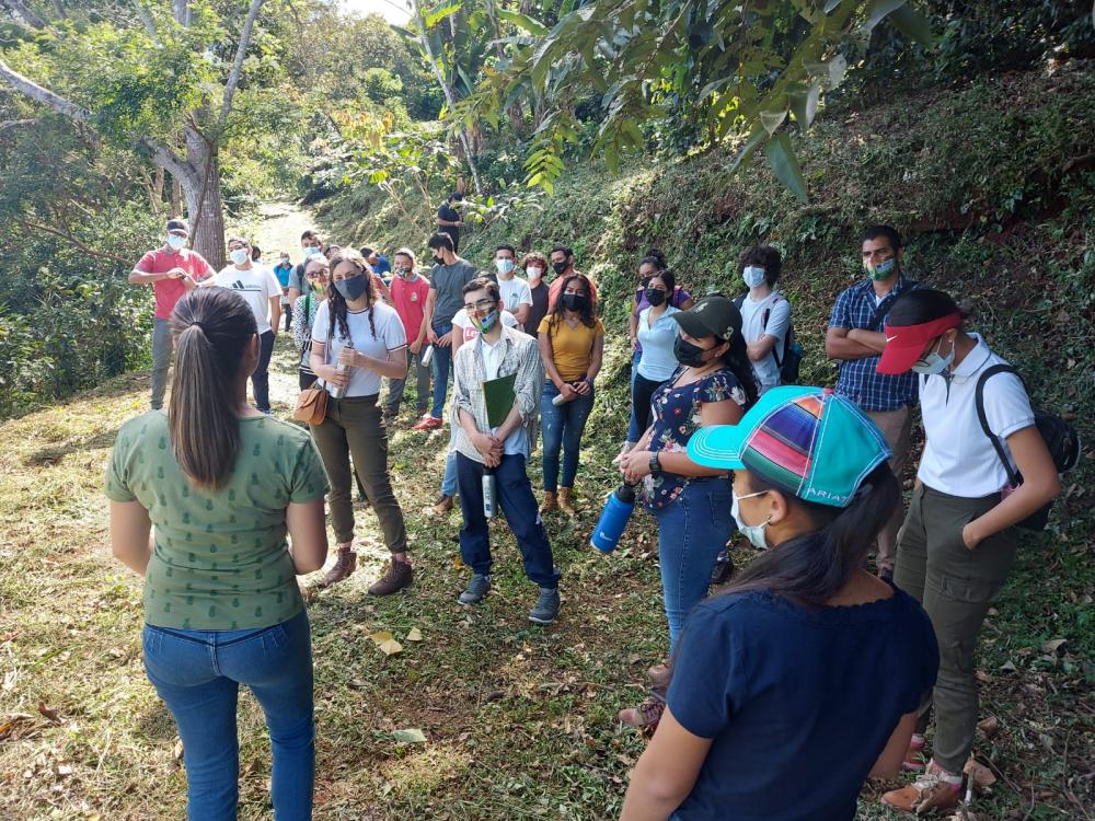 La formación de capacidades, incluidas las dirigidas a grupos de mujeres y jóvenes rurales organizados, se han prorizado en esta iniciativa regional.