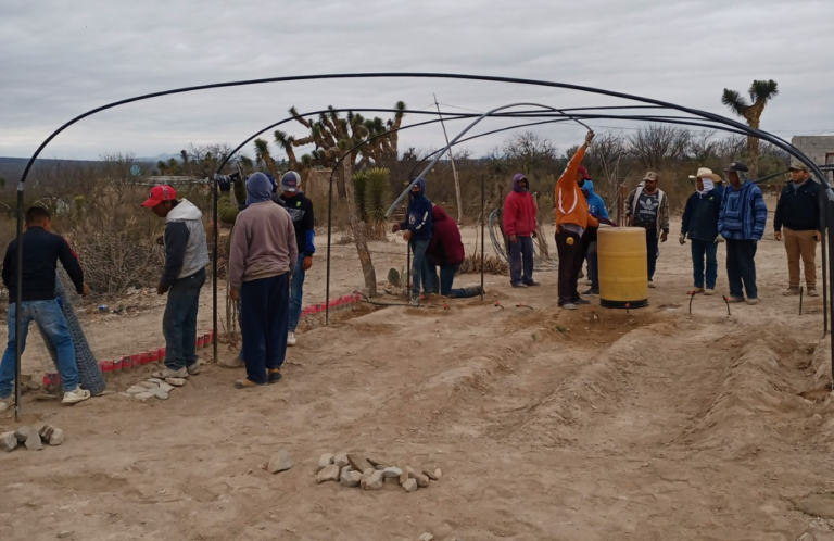 Pobladores del ejido San Felipe instalaron 14 módulos de malla sombra como última fase de la colocación de los sistemas de producción familiar