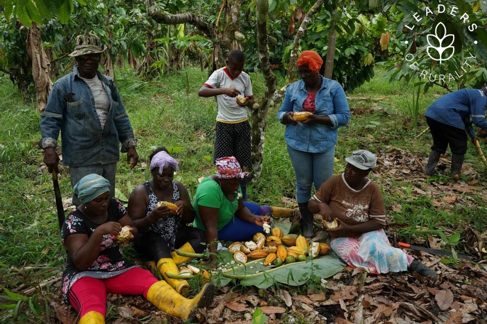 En Timbiré viven unas 2.000 personas, en su gran mayoría afrodescendientes, y el medio de vida principal es la agricultura.