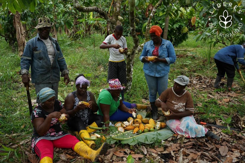 En Timbiré viven unas 2.000 personas, en su gran mayoría afrodescendientes, y el medio de vida principal es la agricultura.