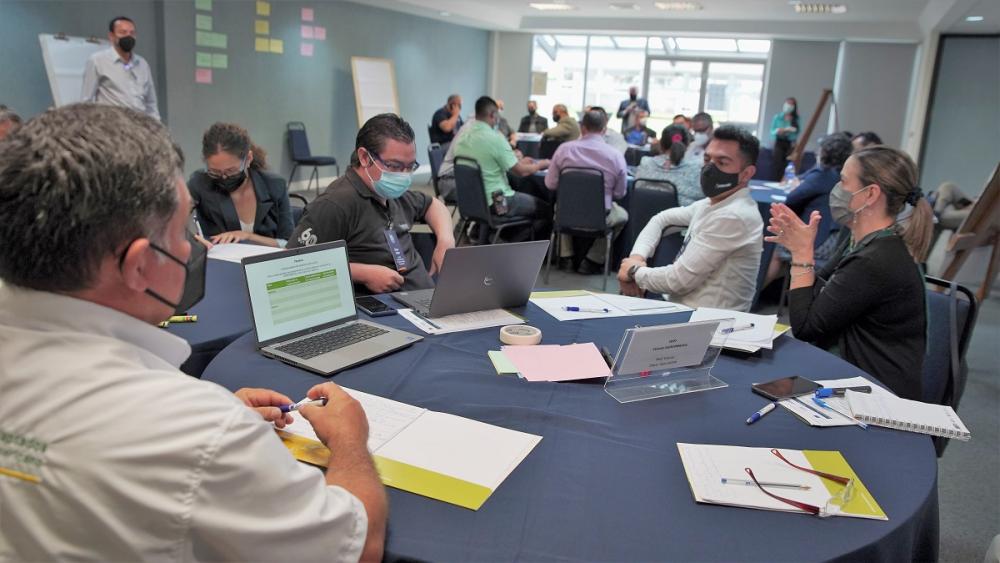 En el taller de AGRO-INNOVA se compartieron ocho experiencias de gestión de sistemas agroforestales multiestratos a nivel nacional que se llevan a cabo de manera conjunta con el proyecto,