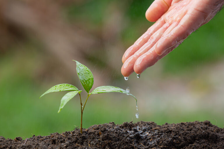 close-up-picture-of-hand-watering-the-sapling-of-the-plant (1)