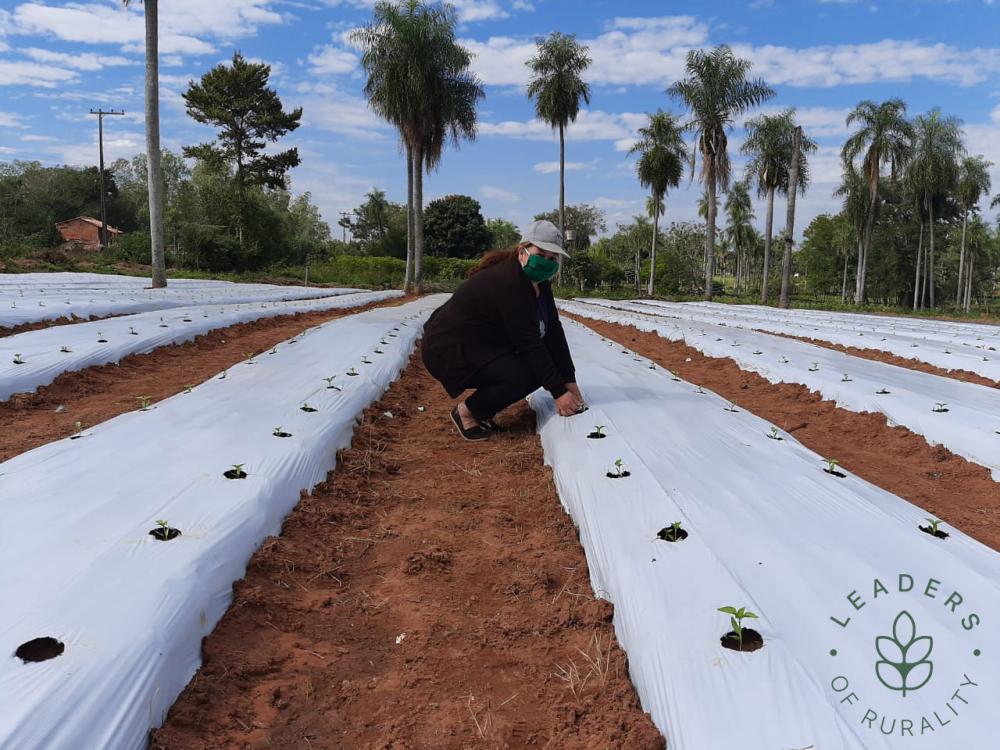 Rosalina se crió en una familia dedicada a la producción de arroz pero ella, desde joven, se volcó al oficio de modista. Circunstancias familiares la hicieron reencontrarse con la agricultura, que redescubrió con pasión.