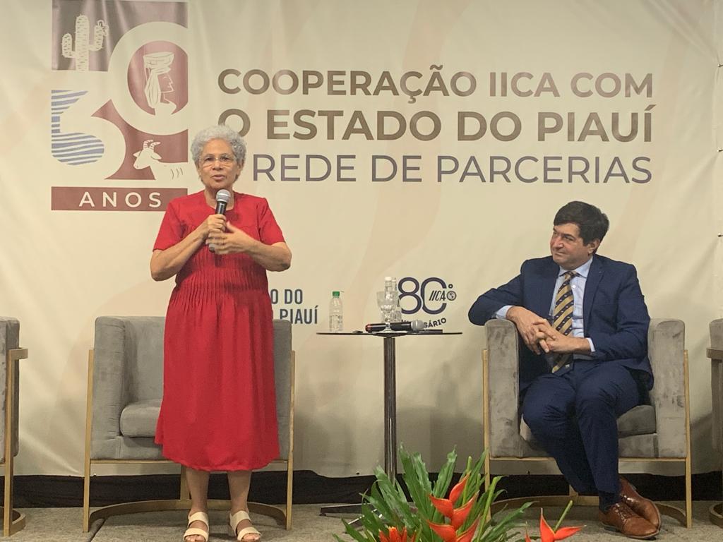 30 anos governo PI