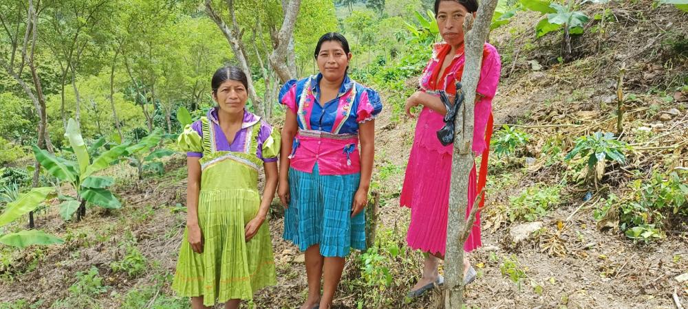 Lidia junto a sus hermanas trabaja como jornalera para sostener a su familia.