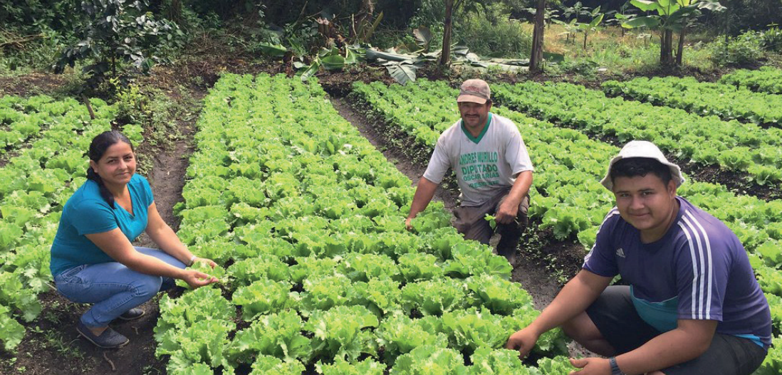 De acuerdo con el reporte, el financiamiento, el fortalecimiento de capacidades, una mejor recopilación de datos para la toma de decisiones y la vinculación a los mercados son necesarios para incentivar una mayor producción resiliente al cambio climático.