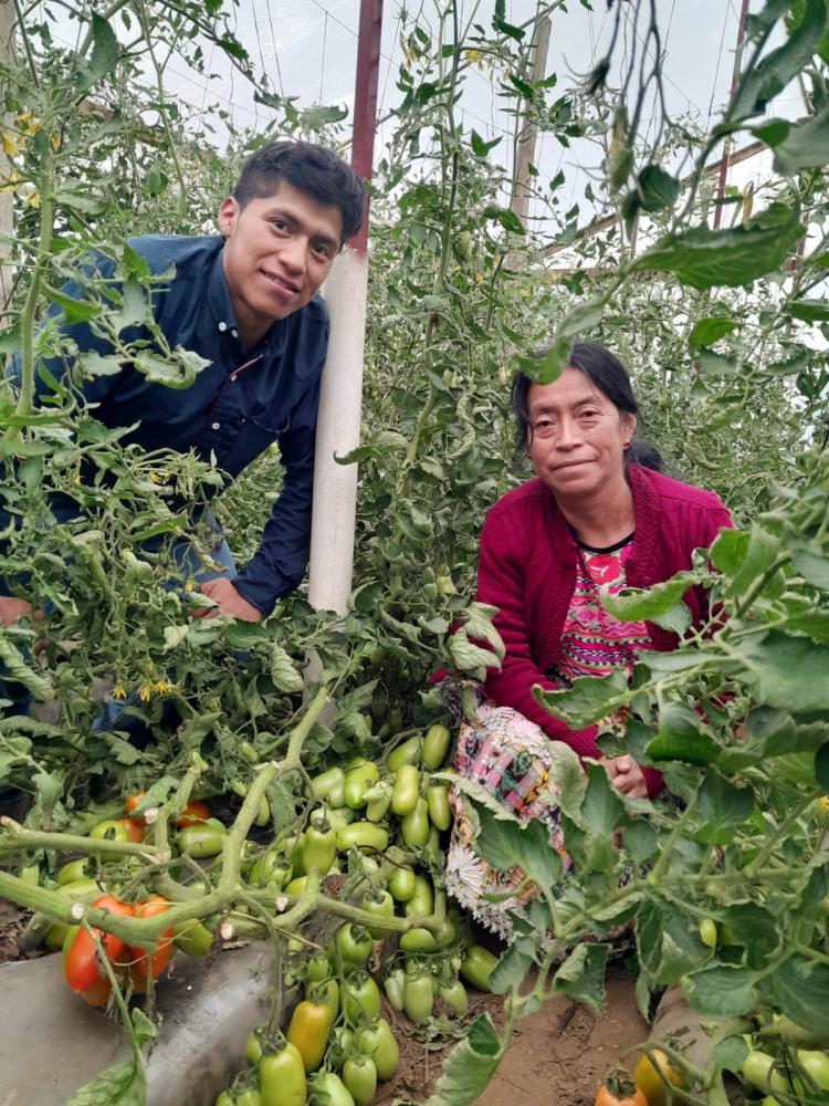 Robín junto a su madre, en la parcela de tomate.