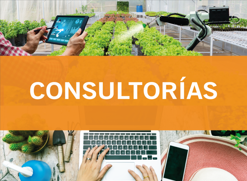 banner-consultorias