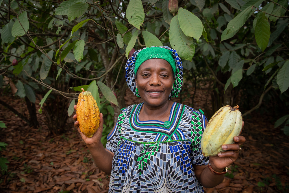 LAC region supplies nearly one fifth of the world’s cocoa and over 80% of the world’s fine and flavor and organic cocoa. 