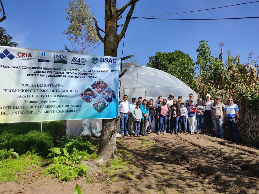 Estudiantes y productores beneficiarios en parcela demostrativa ubicada en  Aldea Federación, San Marcos.