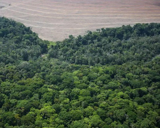 Amazônia