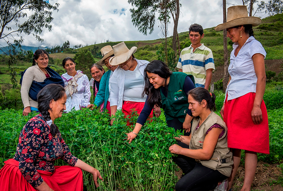 Diplomado en desarrollo y promoción de negocios rurales sostenibles