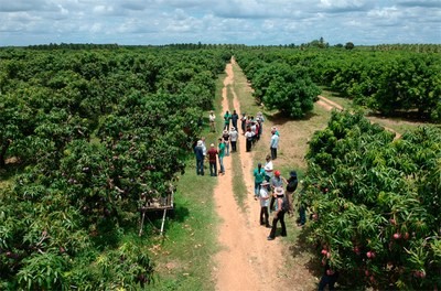 visita a fazenda local