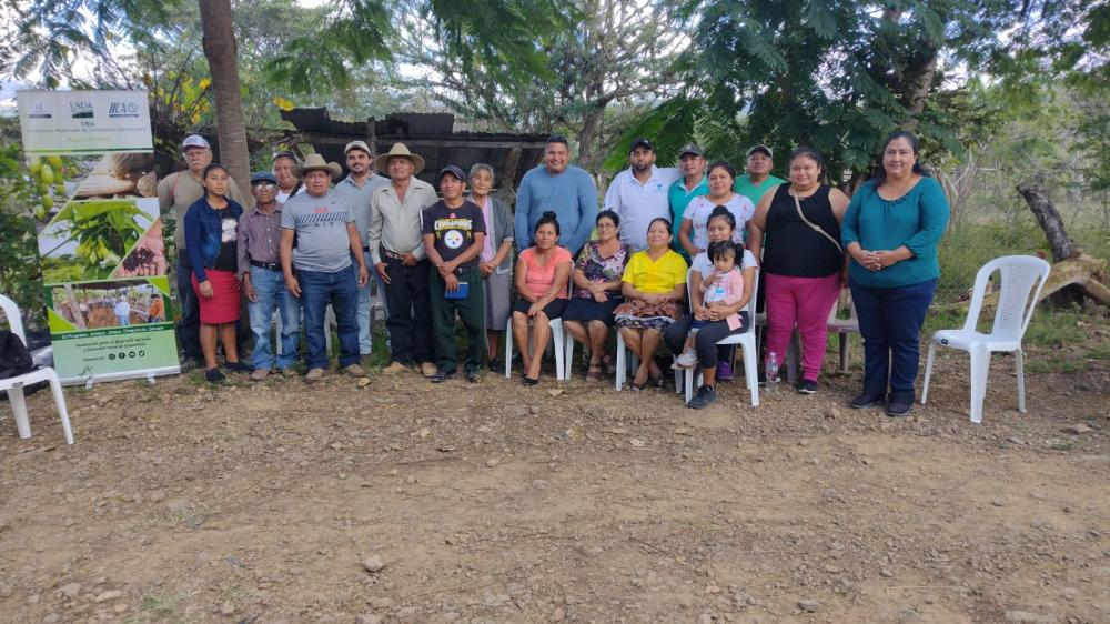 Productores y productores asisten a escuela de campo para conocer tecnologías generadas por medio del Programa CRIA.