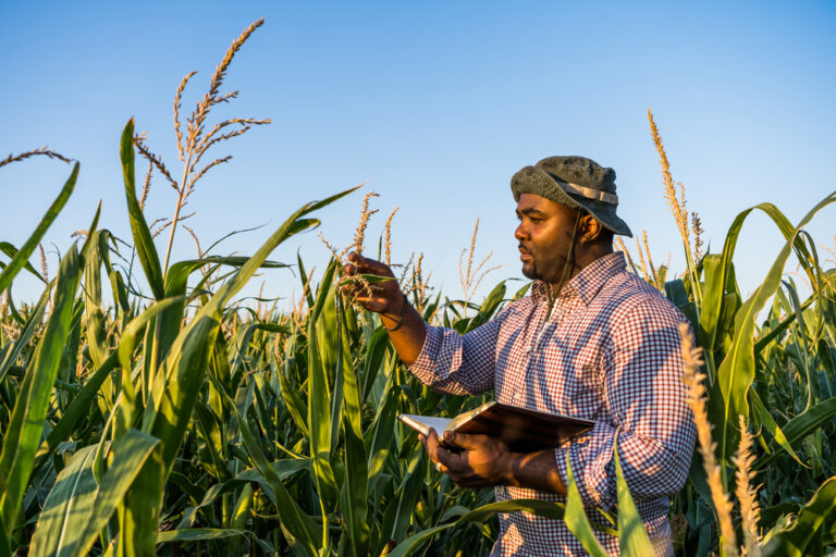 The platform is an online support system for climate-resilient decision making for projects carried out in Caribbean countries.