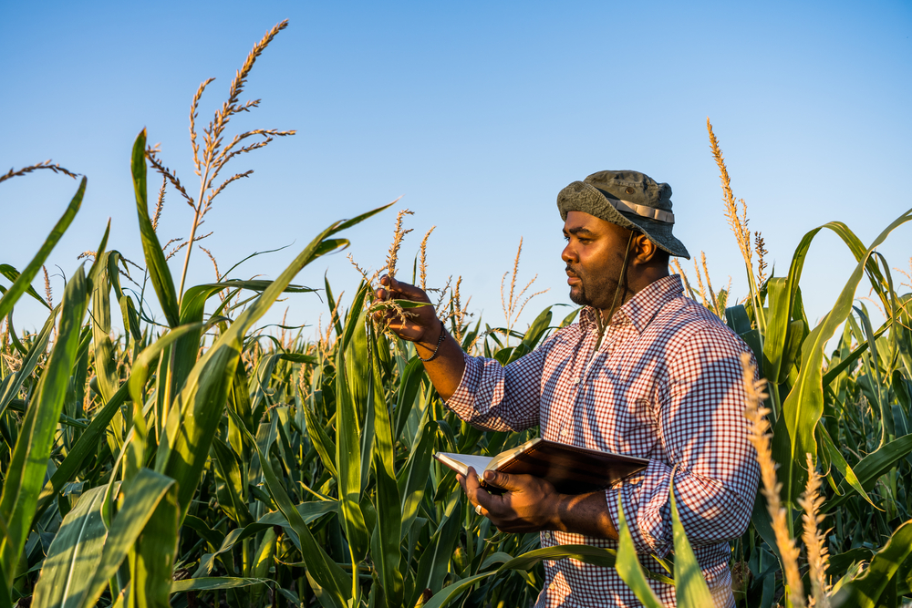 The platform is an online support system for climate-resilient decision making for projects carried out in Caribbean countries.