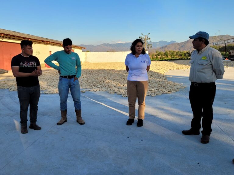 Representantes del ICTA y el IICA en el patio de secado construido en sede del ICTA CEPOR Zacapa.