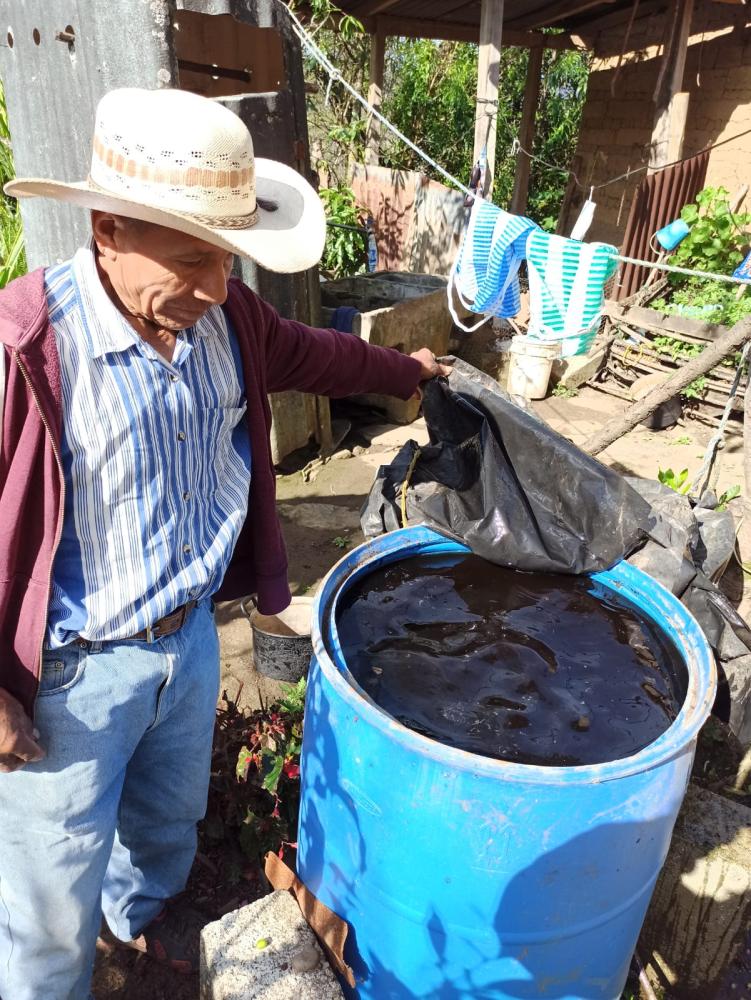 Visualización de foliar orgánico fabricado por don Marcelino, hecho a base de agua de fermentación de café