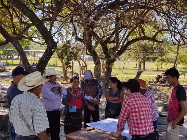 Diagnóstico participativo para elaborar plan de fortalecimiento.