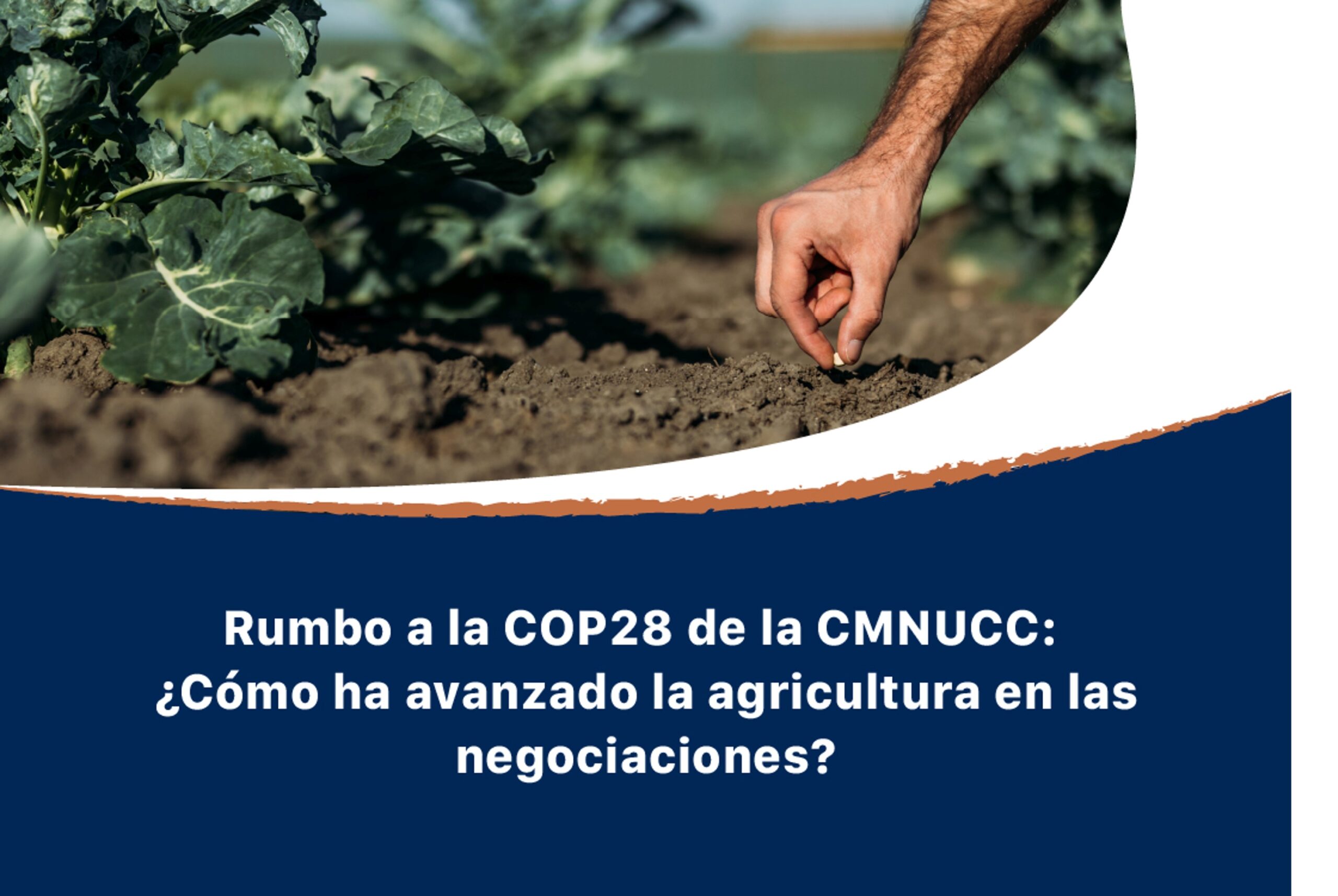 La actividad virtual destacó el protagónico papel de la agricultura frente a los desafíos del cambio climático.