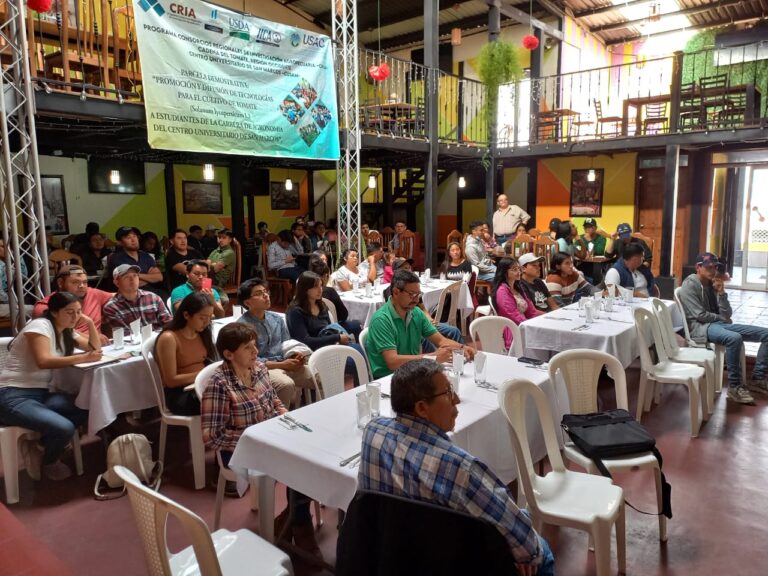 Estudiantes de la carrera de agronomía y productores de tomate fortalecen sus conocimientos.