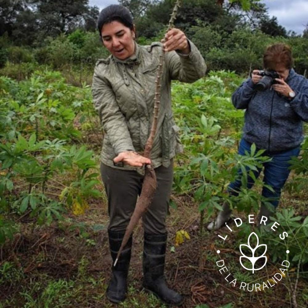 Alina Ruiz (provincia del Chaco)