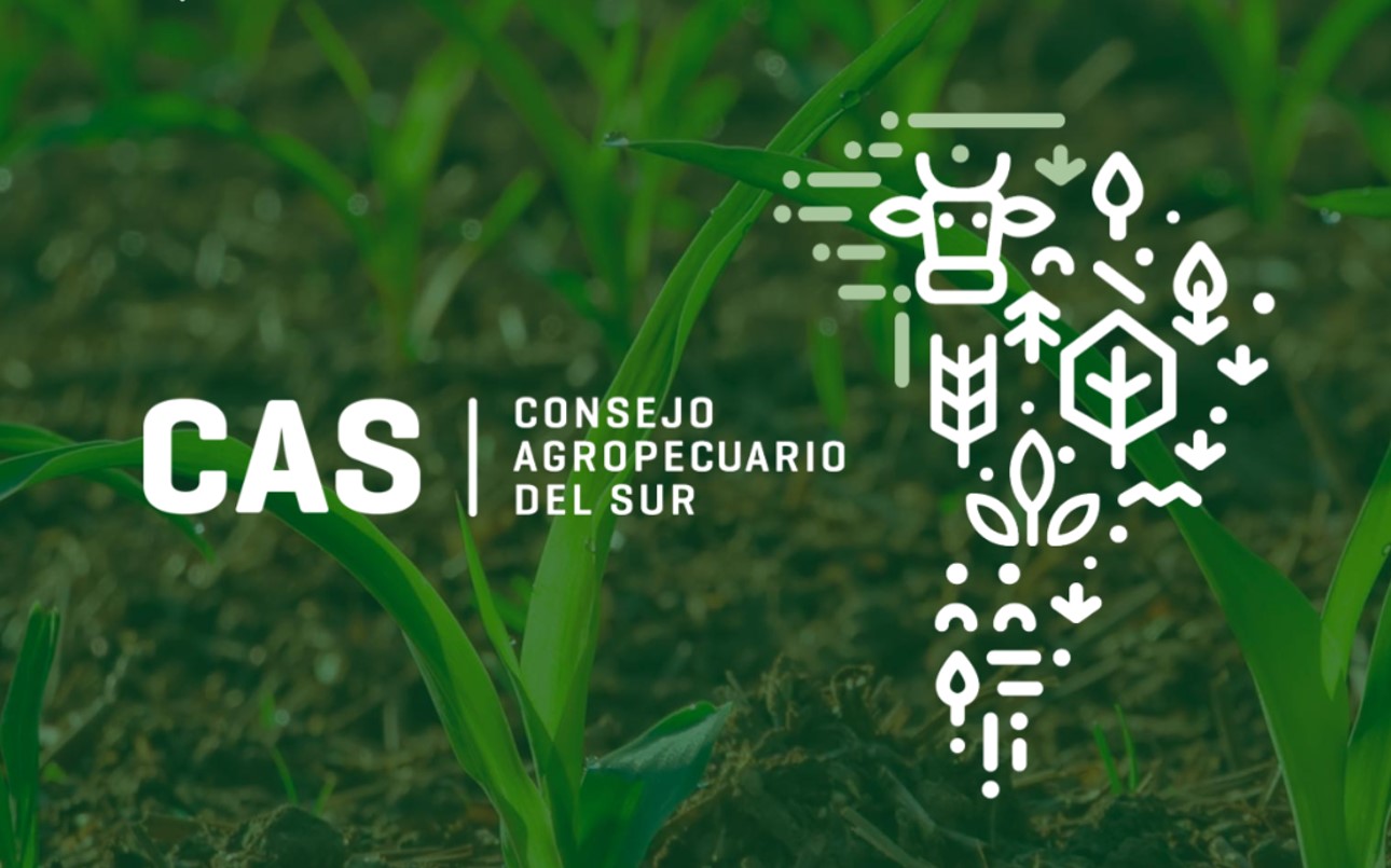 El CAS es el foro ministerial de consulta y coordinación de acciones regionales, integrado por los ministros y secretarios de Agricultura de Argentina, Bolivia, Brasil, Chile, Paraguay y Uruguay. Su objetivo es definir las prioridades de la agenda agropecuaria y tomar posiciones comunes sobre temas de interés regional.