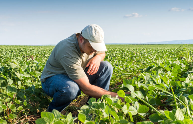 The purpose of the meeting is to position agriculture as an important sector in providing innovative solutions to the climate crisis.