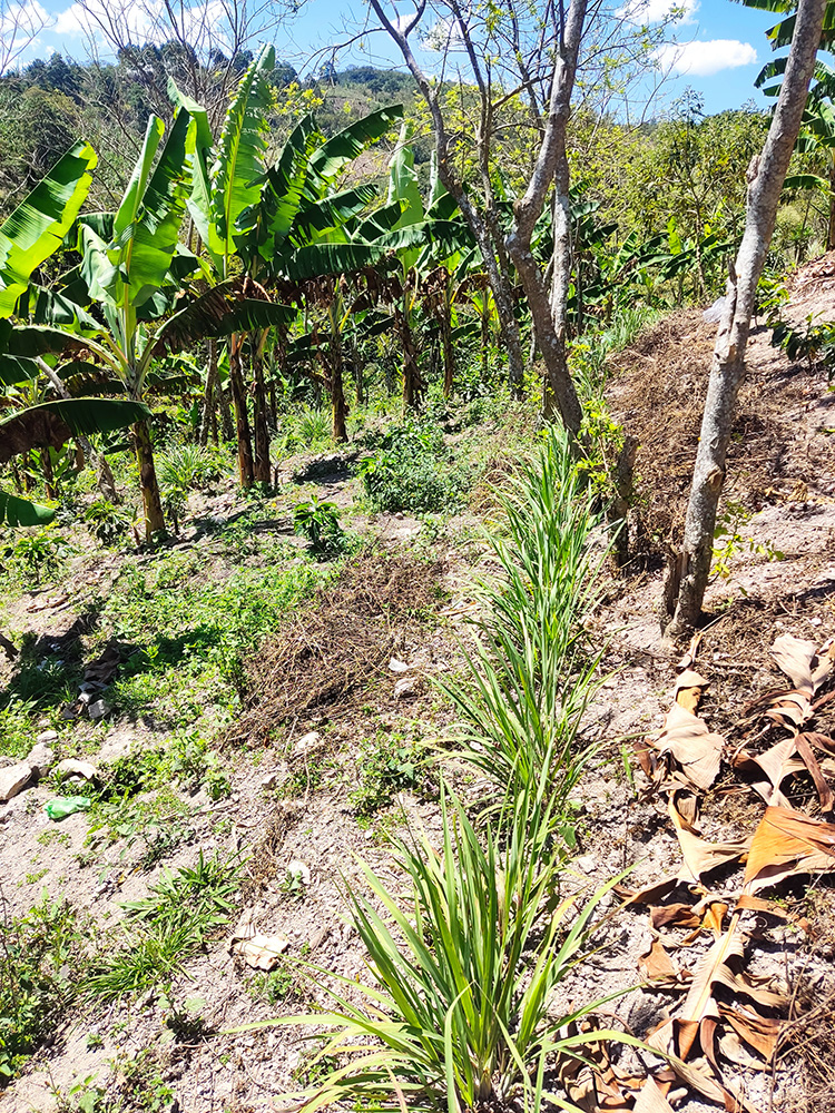 Vitrina tecnológica de Lidia Pérez, ubicada en la Aldea Tatutú, Jocotán