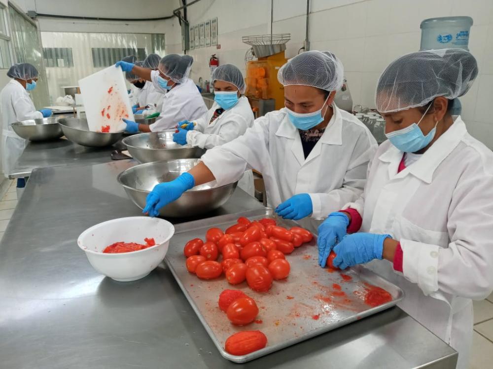 Los y las participantes del curso aprendieron a elaborar otras alternativas de conservas de tomate.