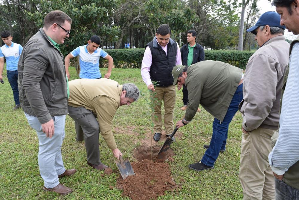 Arbol