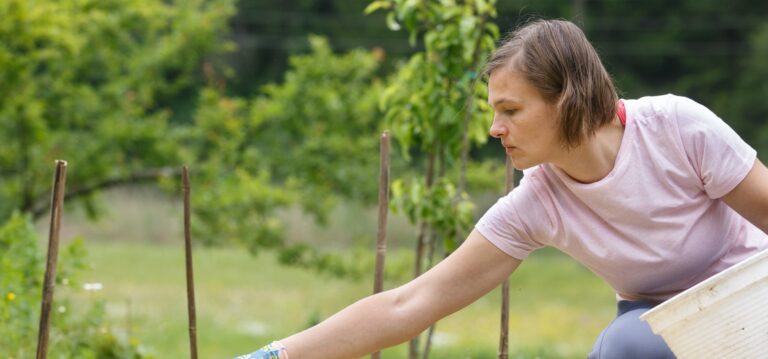 Living Soils of the Americas is an initiative that links science, public policies, the private sector and soil rehabilitation efforts in the region.