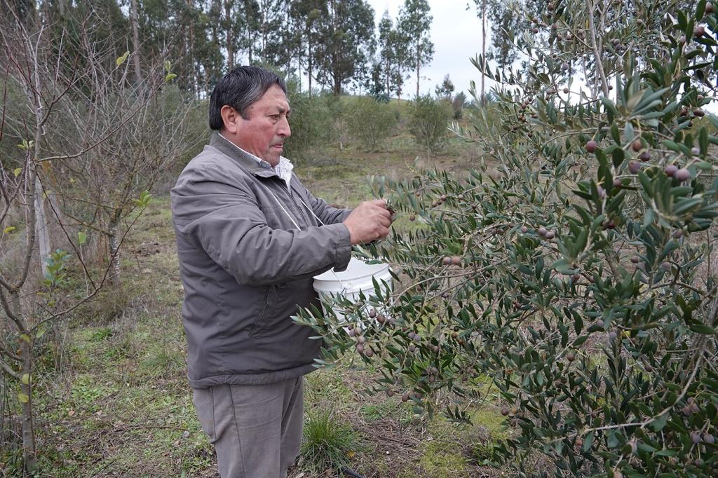 Emilio Sepúlveda, soñar a futuro