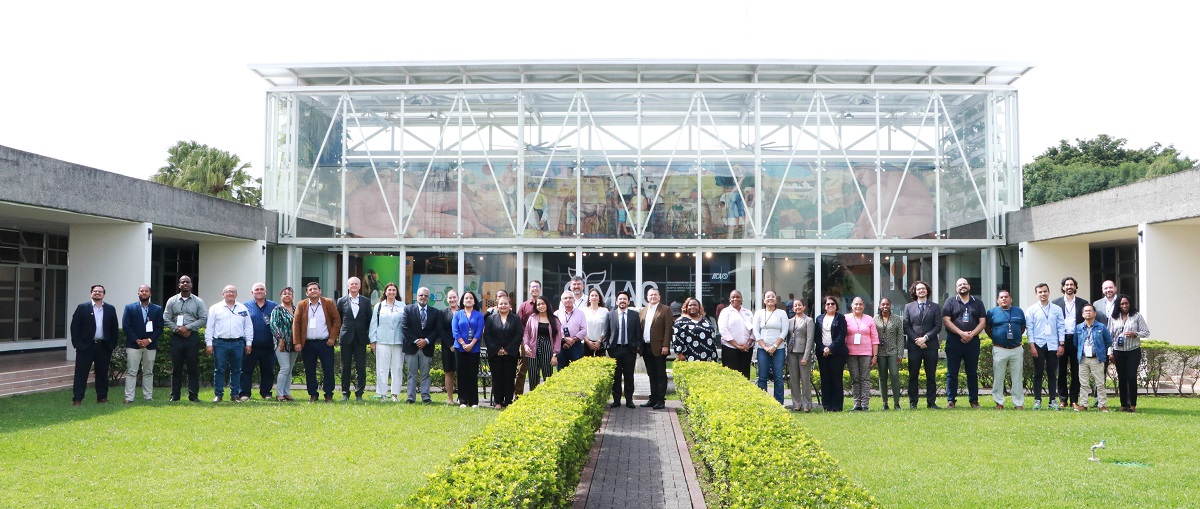 El evento de dos días y medio efectuado en la Sede Central del IICA en San José, Costa Rica, contó con la presencia de 43 participantes entre representantes nacionales, ponentes y organizadores, y tuvo como objetivo identificar formas de impulsar la implementación de sistemas de certificación electrónica veterinaria en las Américas para el comercio internacional de productos de origen animal.