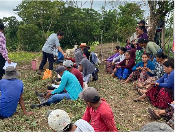 Taller sobre manejo agronómico en la cadena de maíz.